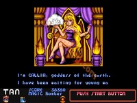 une photo d'Ã©cran de Mega Twins sur Arcade
